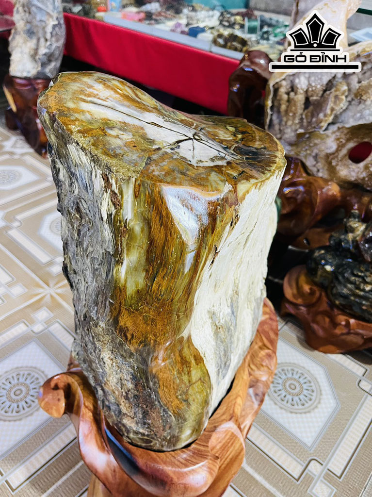 Tác Phẩm Gỗ Hóa Thạch Cao 65 Ngang 32 (cm) 48kg