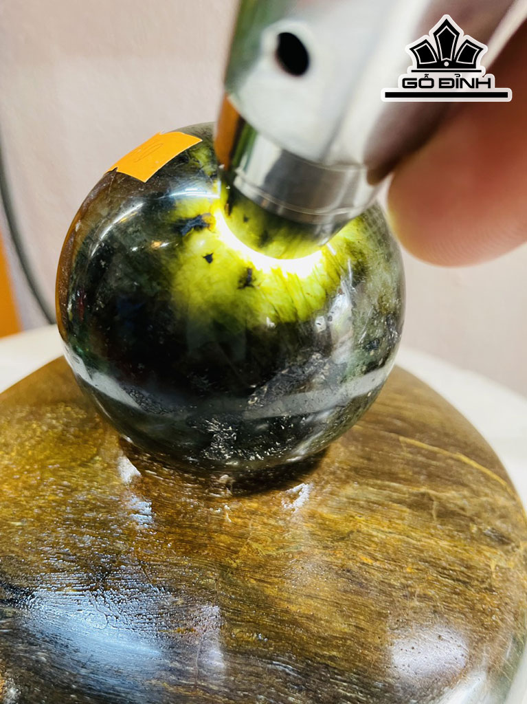 Chum Phú Quý Gỗ Hóa Thạch Cao 16 Đường Kính 16 (cm) 3,2kg