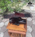 Tượng Đại Bàng Săn Mồi Gỗ Trắc Cao 24 Ngang 56 Sâu 32 (cm)