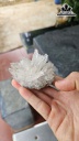 Bông Hoa Đá Ưu Đàm Size 8 (cm) 0,4kg