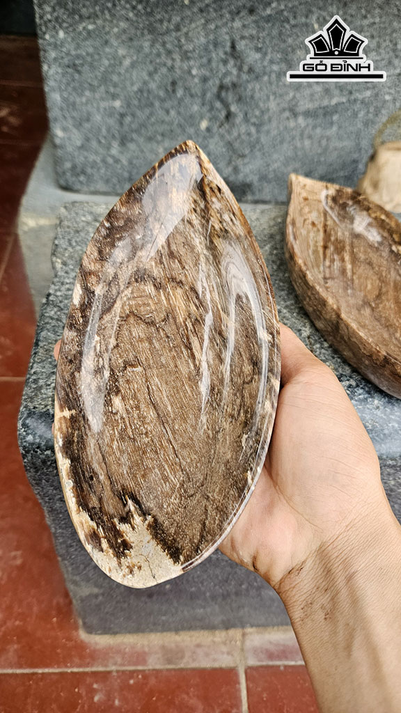 Cặp Đĩa Gỗ Hóa Thạch Dài 22 Ngang 10 (cm) 2kg