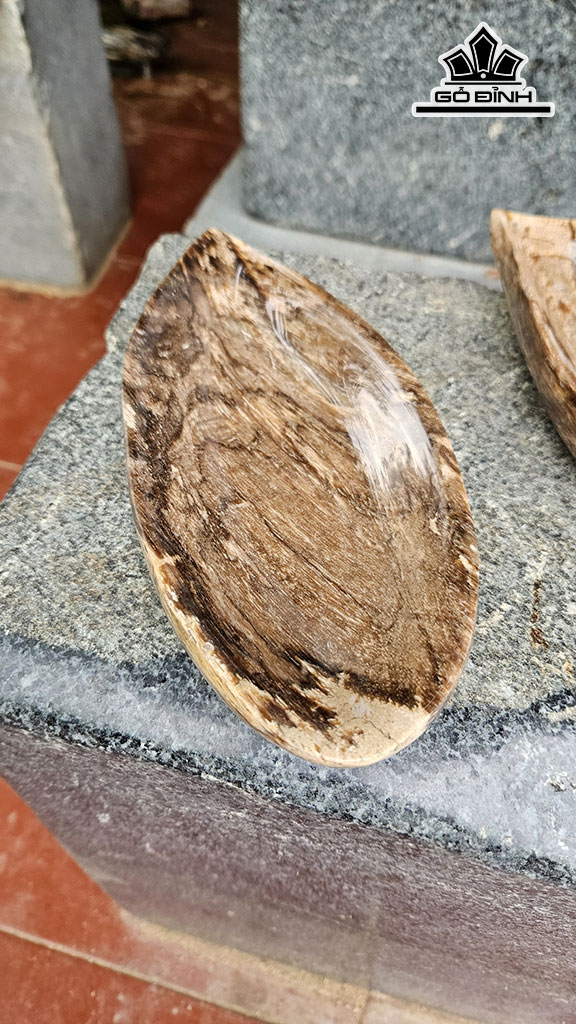 Cặp Đĩa Gỗ Hóa Thạch Dài 22 Ngang 10 (cm) 2kg