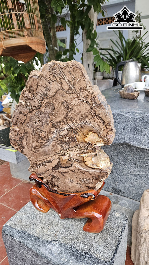 Lát Vân Thủy Tùng Gỗ Hóa Thạch Cao 47 Ngang 35 (cm) 11kg