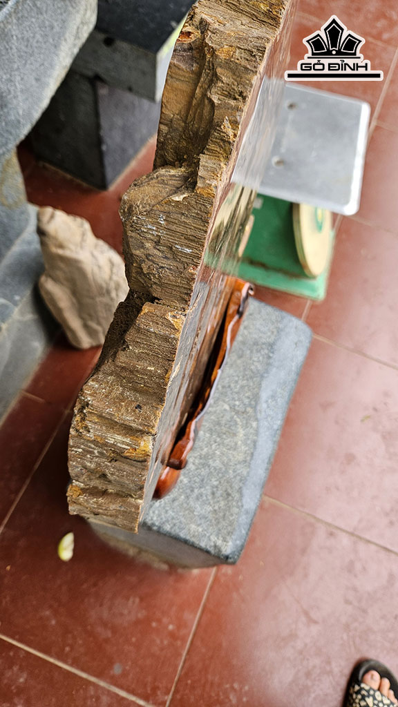 Lát Vân Thủy Tùng Gỗ Hóa Thạch Cao 47 Ngang 35 (cm) 11kg