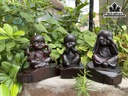 Bộ Tam Không Gỗ Trắc Cao 12 Ngang 10 Sâu 6 (cm)