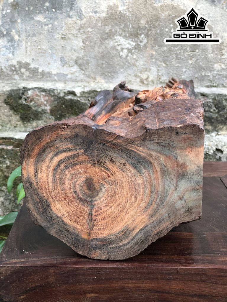 Tượng Đạt Ma Phục Hổ Gỗ Trắc Cao 43 Ngang 14 Sâu 13 (cm)