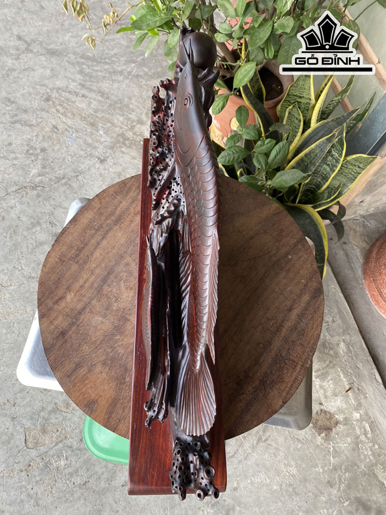 Tượng Cá Kim Long Gỗ Trắc Cao 20 Ngang 50 Sâu 8 (cm)