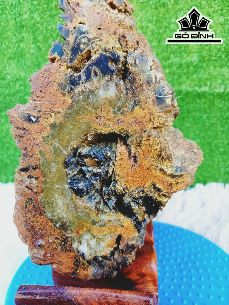 Tác Phẩm Gỗ Hóa Thạch Cao 28 Ngang 10 Sâu15 (cm)5kg