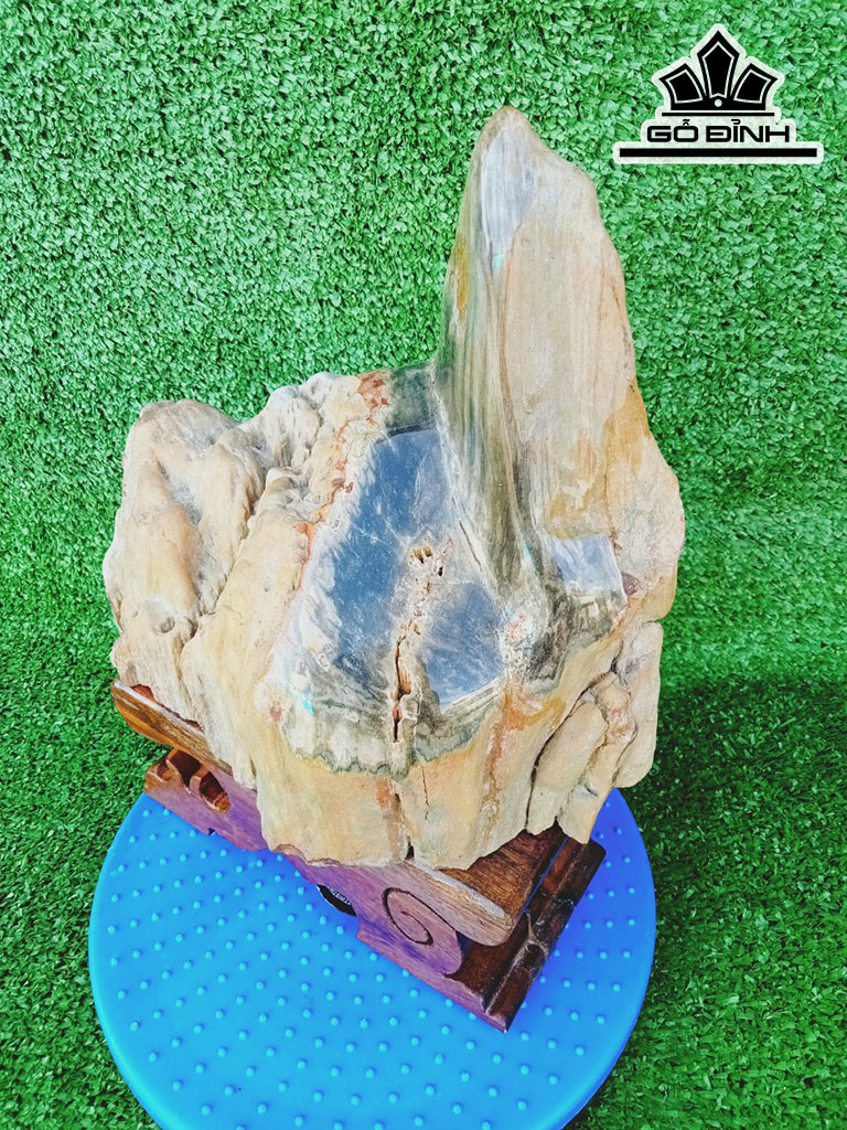 Tác Phẩm Gỗ Hóa Thạch Cao 30 Ngang 23(cm) 7kg