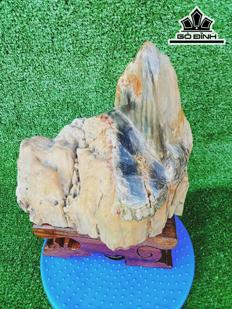 Tác Phẩm Gỗ Hóa Thạch Cao 30 Ngang 23(cm) 7kg