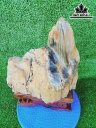 Tác Phẩm Gỗ Hóa Thạch Cao 30 Ngang 23(cm) 7kg