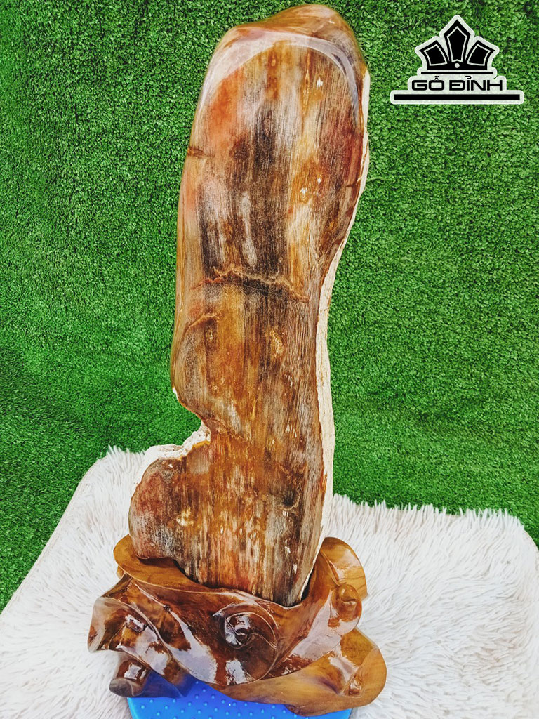 Tác Phẩm Gỗ Hóa Thạch Cao 58 Ngang 17 (cm) 10,5kg