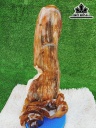 Tác Phẩm Gỗ Hóa Thạch Cao 58 Ngang 17 (cm) 10,5kg