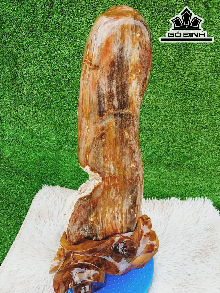 Tác Phẩm Gỗ Hóa Thạch Cao 58 Ngang 17 (cm) 10,5kg
