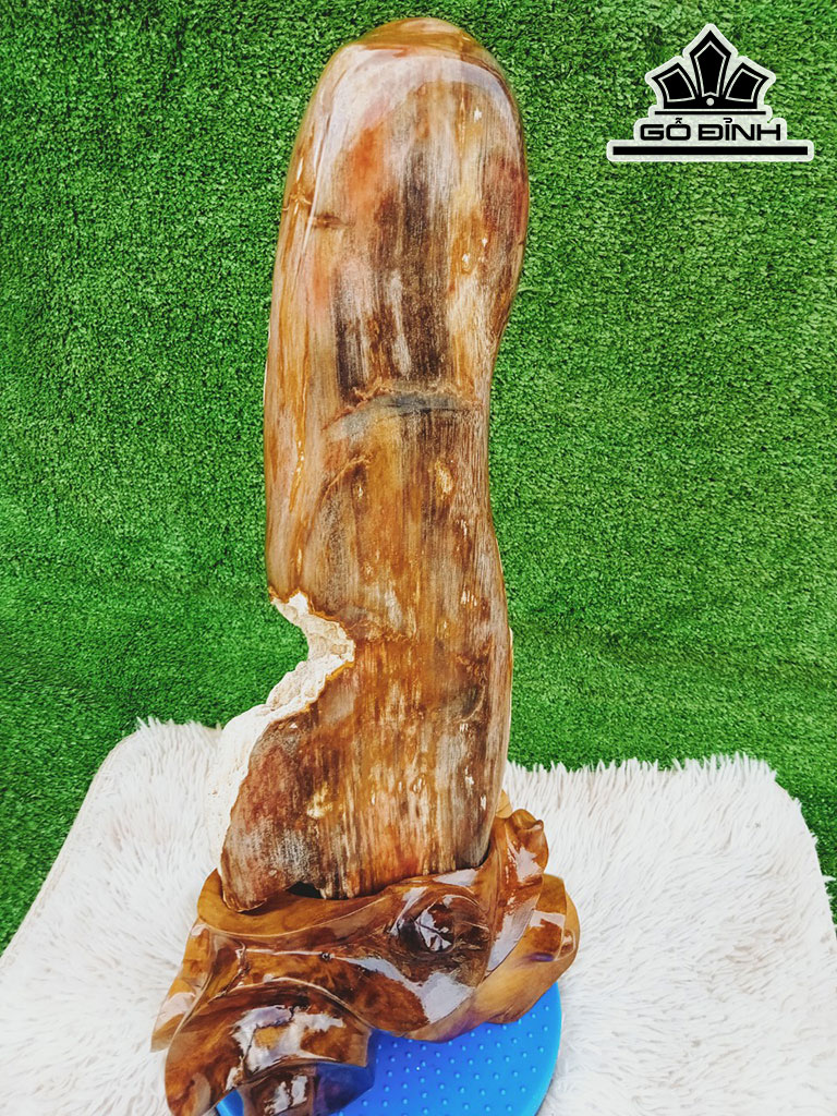 Tác Phẩm Gỗ Hóa Thạch Cao 58 Ngang 17 (cm) 10,5kg