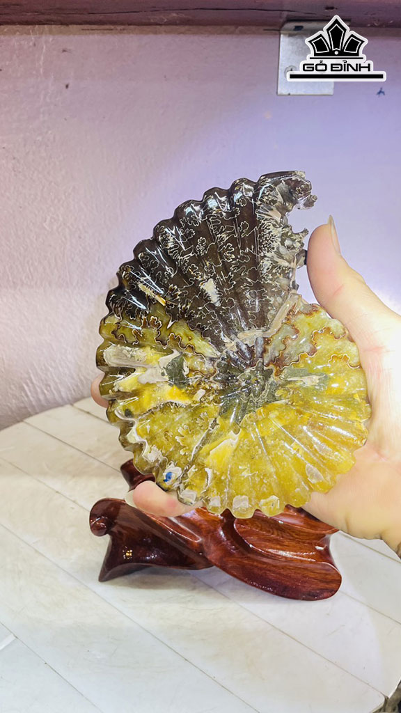 Tác Phẩm Ốc Anh Vũ Gỗ Hóa Ngọc Cao 19  Rộng 13 (cm) 1,2kg Luôn đế