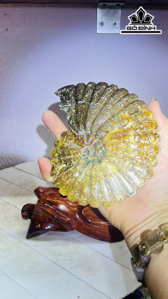 Tác Phẩm Ốc Anh Vũ Gỗ Hóa Ngọc Cao 19  Rộng 13 (cm) 1,2kg Luôn đế