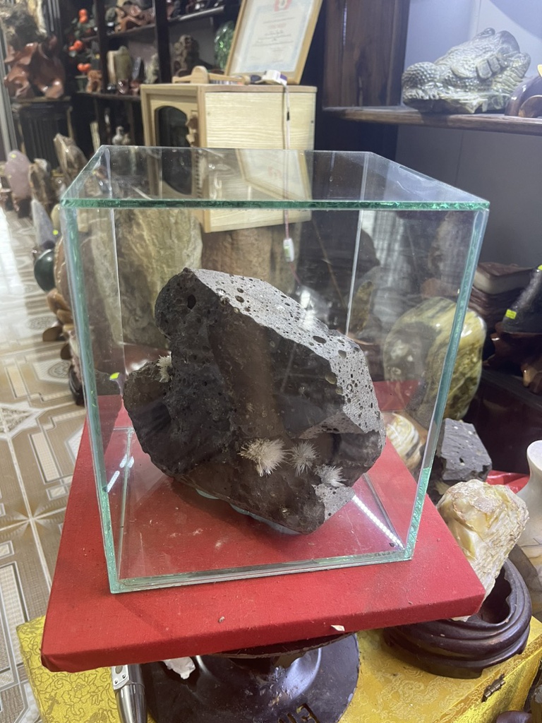 Bông Hoa Ưu Đàm Gỗ Hóa Thạch Cao 26 Ngang 20 Sâu 20(cm) 7kg