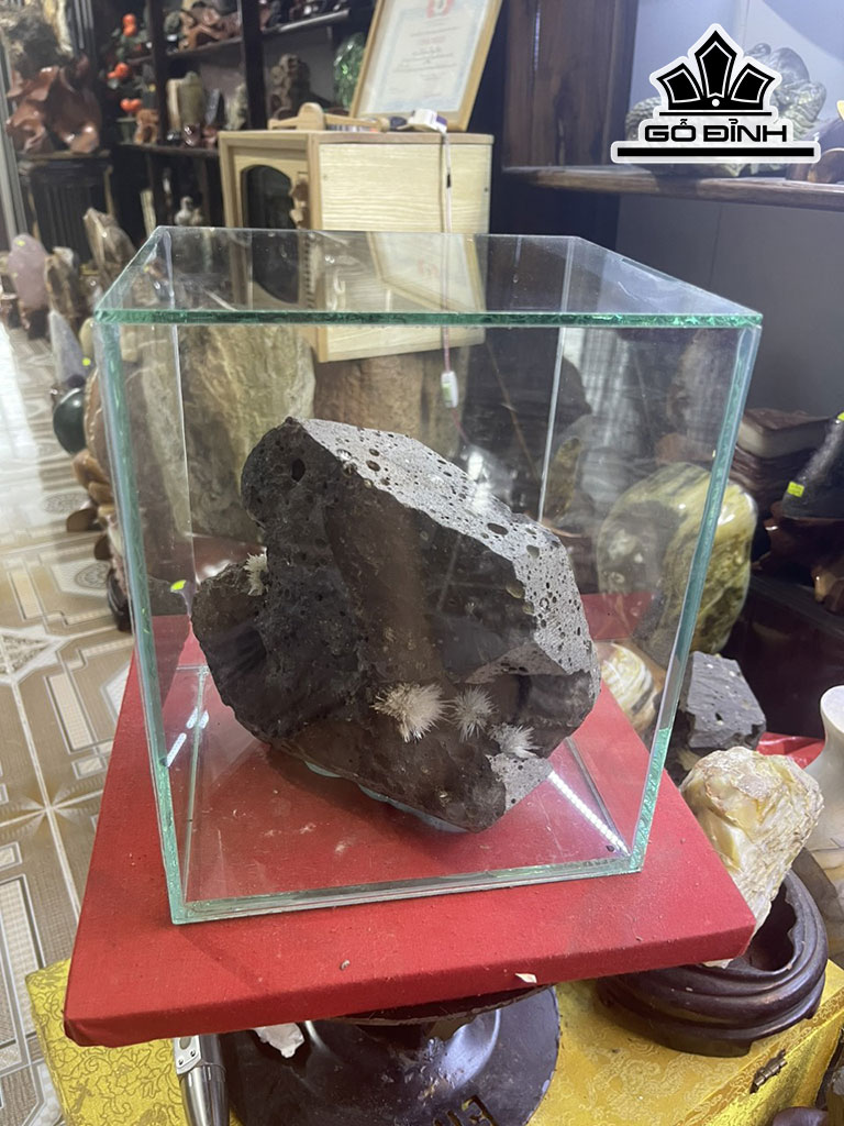 Bông Hoa Ưu Đàm Gỗ Hóa Thạch Cao 26 Ngang 20 Sâu 20(cm) 7kg