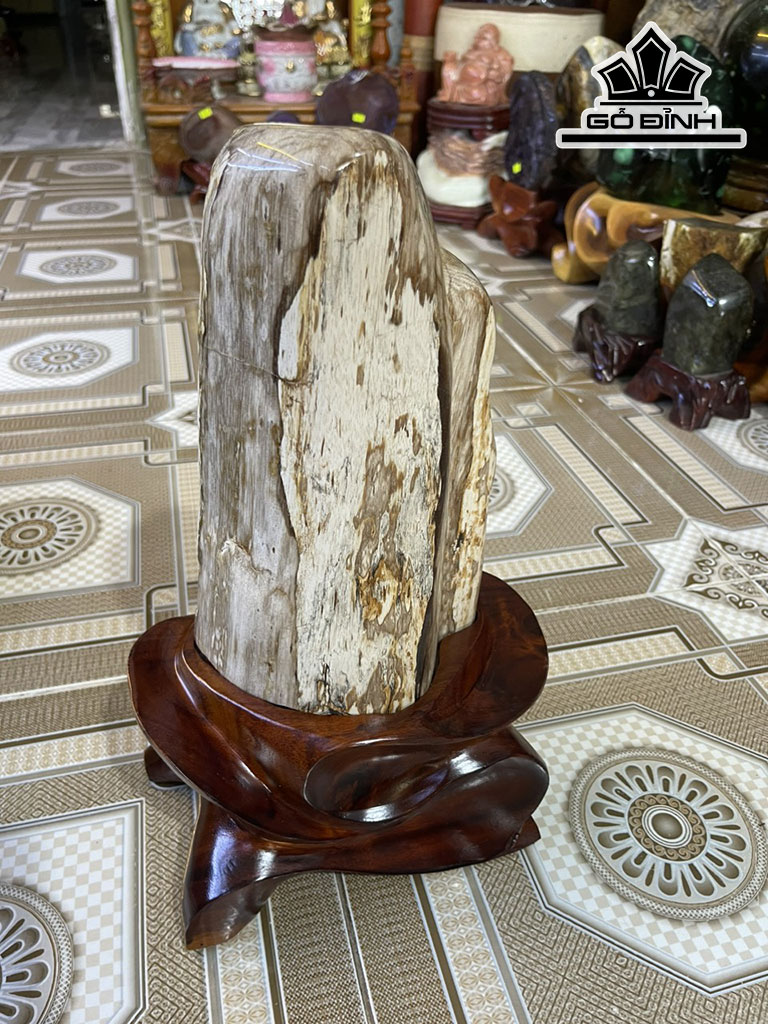 Tác Phẩm Gỗ Hóa Thạch Cao 38(cm) 8,5kg