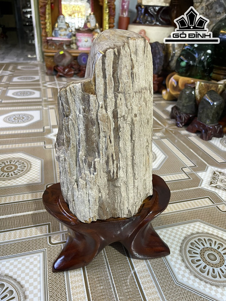 Tác Phẩm Gỗ Hóa Thạch Cao 38(cm) 8,5kg