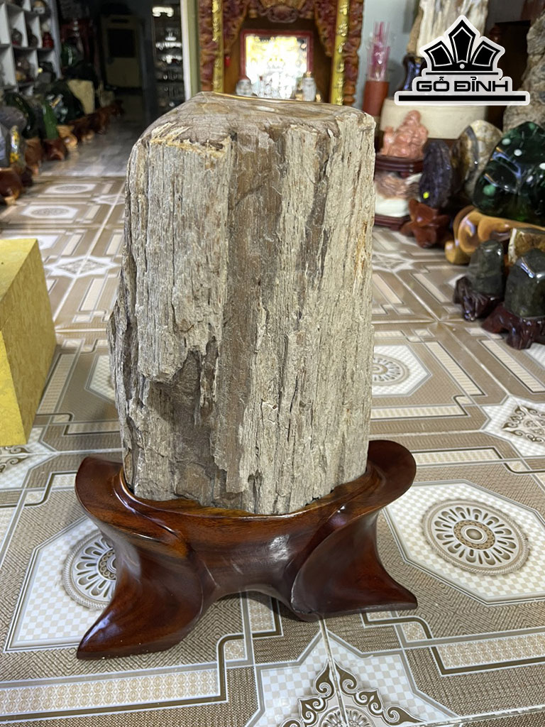 Tác Phẩm Gỗ Hóa Thạch Cao 46(cm) 16,2kg