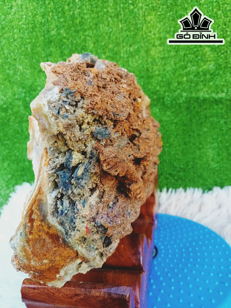 Tác Phẩm Gỗ Hóa Thạch Cao 32 Ngang 7 Sâu 32 (cm) 5kg