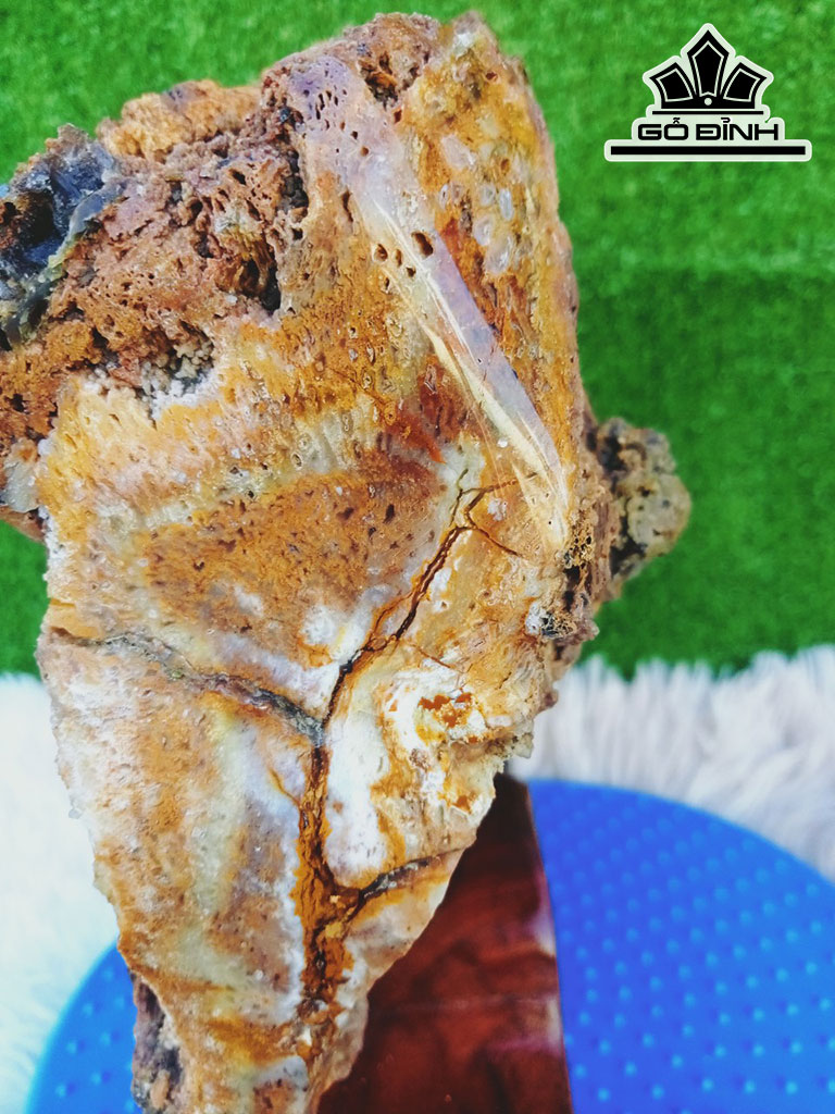 Tác Phẩm Gỗ Hóa Thạch Cao 32 Ngang 7 Sâu 32 (cm) 5kg