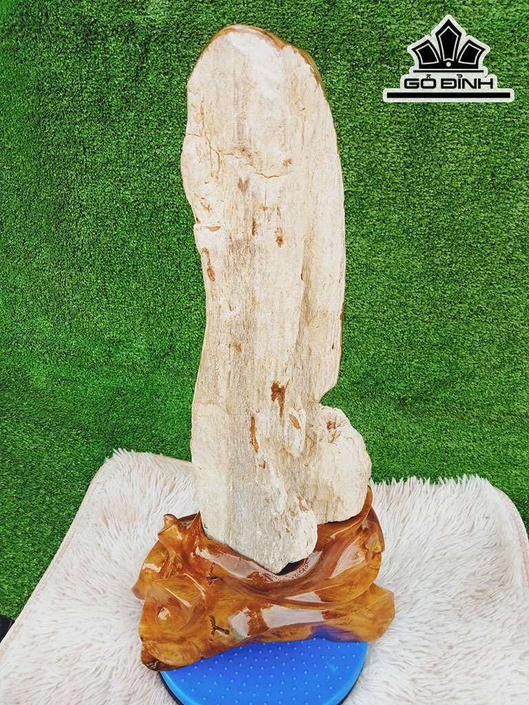 Tác Phẩm Gỗ Hóa Thạch Cao 58 Ngang 17 (cm) 10,5kg
