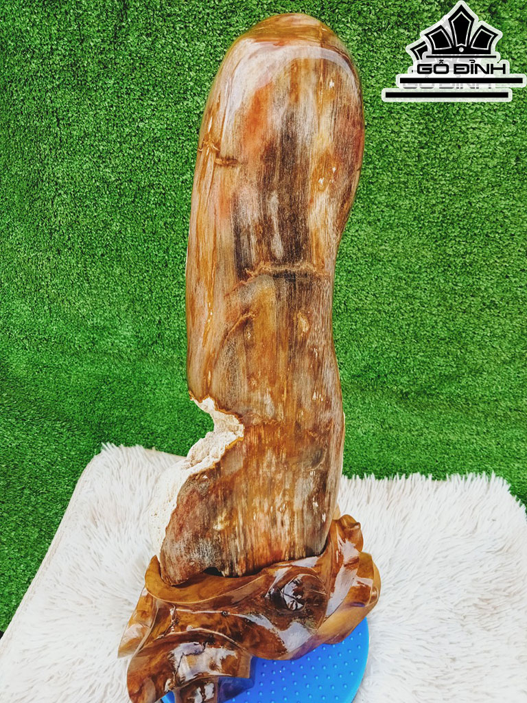 Tác Phẩm Gỗ Hóa Thạch Cao 58 Ngang 17 (cm) 10,5kg