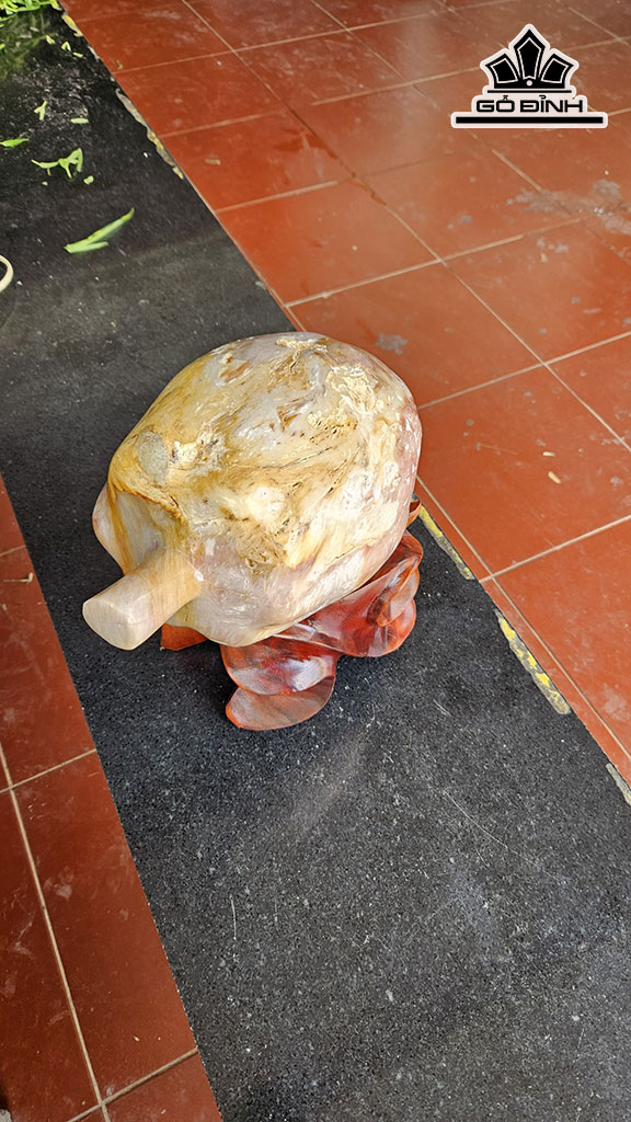 Quả Đu Đủ Gỗ Hóa Ngọc Cao 36 (cm) Dài 30 (cm) 14 kg
