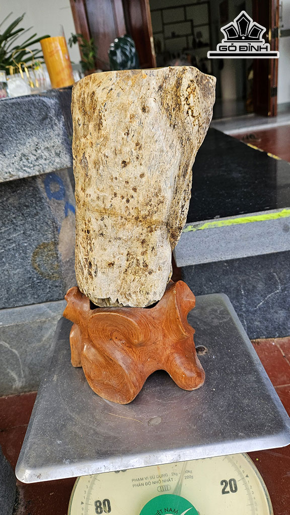 Tác Phẩm Cành Cây Gỗ Hóa Ngọc  Đường Kính 15 (cm) Cao 39 (cm) 8.5kg
