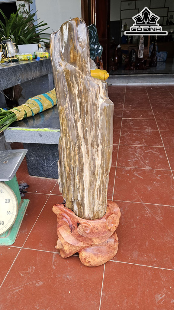 Tác Phẩm Gỗ Hóa Thạch Cao 95 Ngang 23 (cm) 30kg