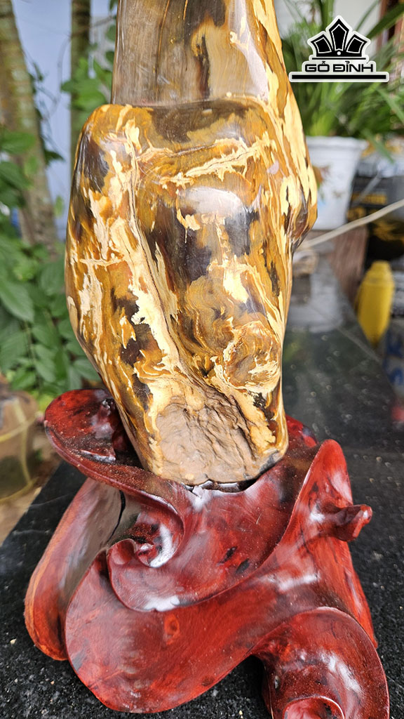 Viên Gỗ Hóa Thạch Cao 47 Ngang 12(cm) 4kg