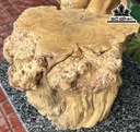 Tác Phẩm Cây San Hô Cao 44 Ngang 45(cm) 13kg
