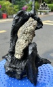 Tác Phẩm Đá Pyrite Cao 22 Ngang18(cm) 0,8kg