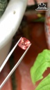 Viên Đá Spinel Cam Nâu 2,7cts