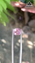 Viên Đá Spinel Hồng Sáng 1,35cts