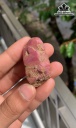 Viên Đá Ruby 257cts