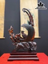 Chim Trĩ Uyên Ương Gỗ Trắc Cao 58 Ngang 37 Sâu 12 (cm)