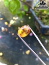 Viên Đá Citrine 9,4cts