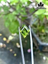 Viên Đá Peridot 5,56cts