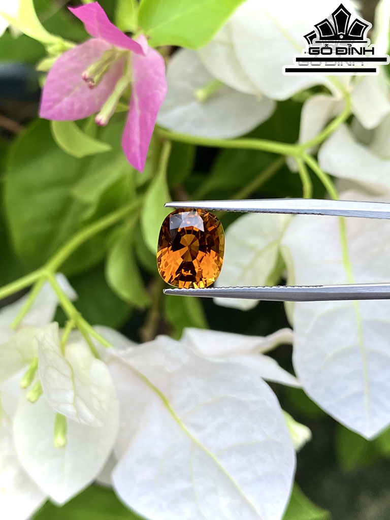 Viên Đá Tourmaline 3,1cts