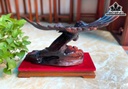 Tượng Đại Bàng Gỗ Trắc Cao 36 Ngang 52 Sâu 20 (cm)