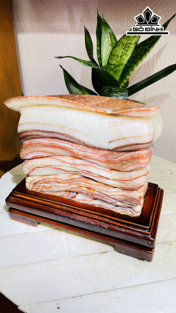 Tác Phẩm Đá Thịt Heo Đá Canxit Cao 16 Ngang 17 Sâu 6 (cm) 4,6kg