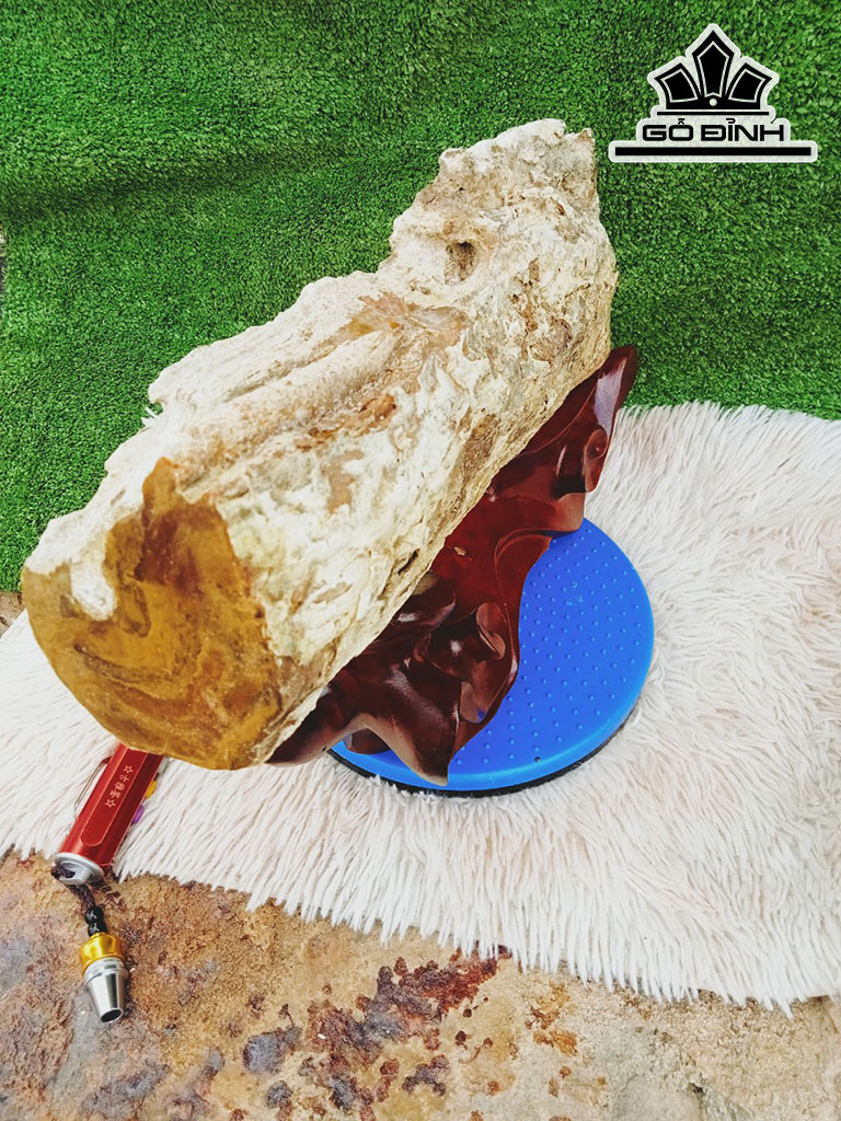 Tác Phẩm Gỗ Hóa Ngọc Cao 10 Dài 40(cm) 7,8kg