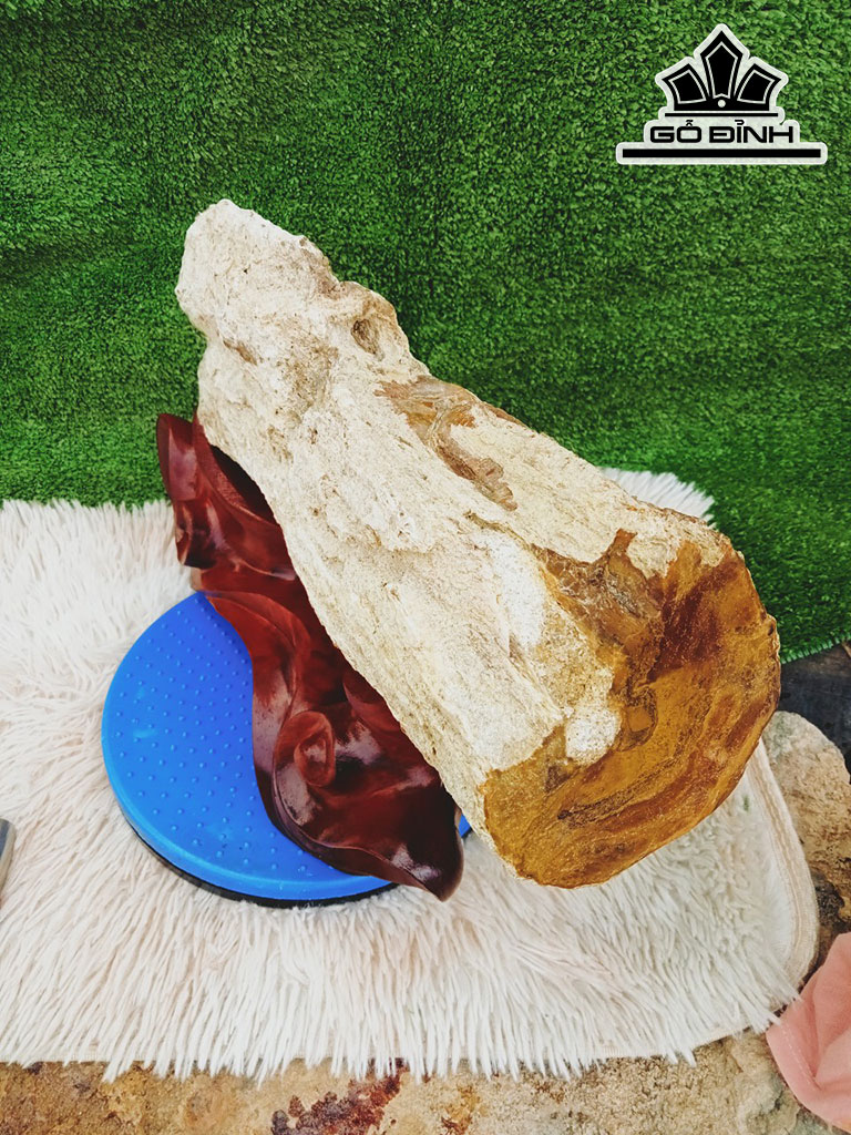 Tác Phẩm Gỗ Hóa Ngọc Cao 10 Dài 40(cm) 7,8kg