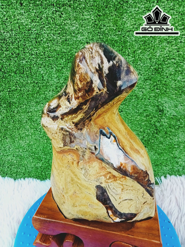 Tác Phẩm Gỗ Hóa Thạch Cao 27 Ngang 15 (cm) 4,2kg
