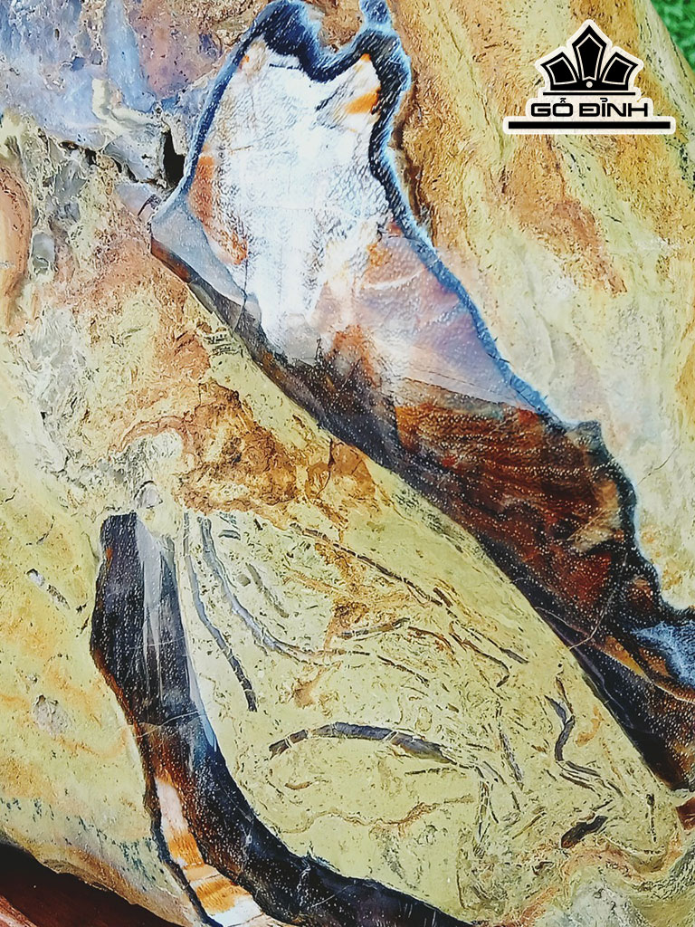 Tác Phẩm Gỗ Hóa Thạch Cao 27 Ngang 15 (cm) 4,2kg