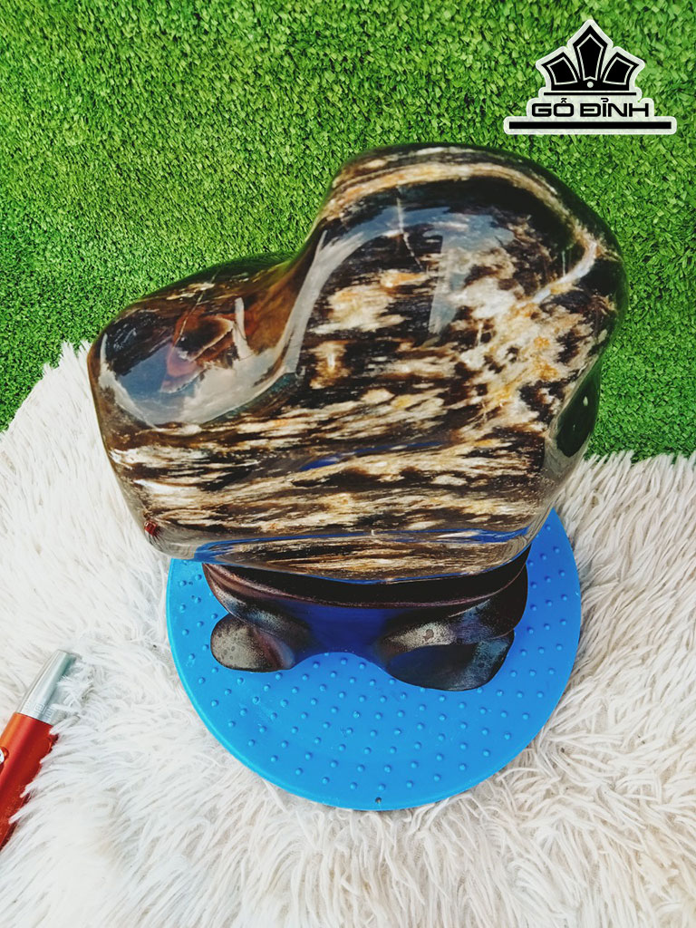 Tác Phẩm Gỗ Hóa Thạch Cao 29 Ngang 18 (cm) 5,8kg